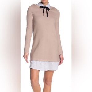 J.O.A Oxford Sweater Dress.